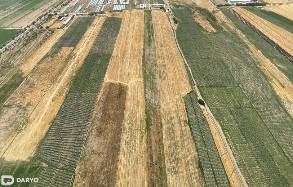 Qashqadaryoda chorvachilik va ozuqa bazasini kengaytirish uchun 200 ming gektar yer o‘zlashtiriladi